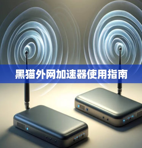 黑猫外网加速器使用指南 黑猫外网加速器使用指南
