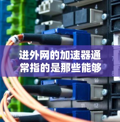 进外网的加速器通常指的是那些能够有效地将外网的互联网连接到本地计算机的工具。以下是一些常用的加速器软件，这些软件可以帮助您快速连接外网，提升信息传输速度