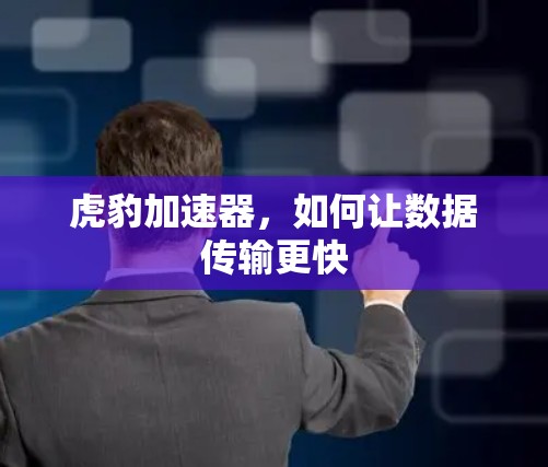 虎豹加速器，如何让数据传输更快