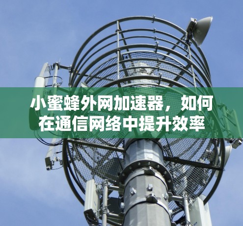 小蜜蜂外网加速器,如何在通信网络中提升效率 小蜜蜂外网加速器,如何在通信网络中提升效率