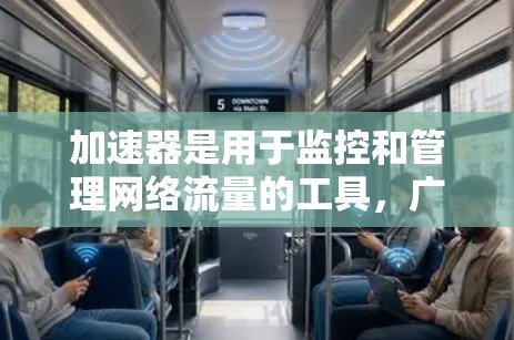 加速器是用于监控和管理网络流量的工具，广泛应用于服务器、应用服务器和监控软件中。用户提到海外网络干扰，可能指的是加速器在海外网络环境中运行时，受到外部网络环境的影响，导致性能下降或稳定性问题