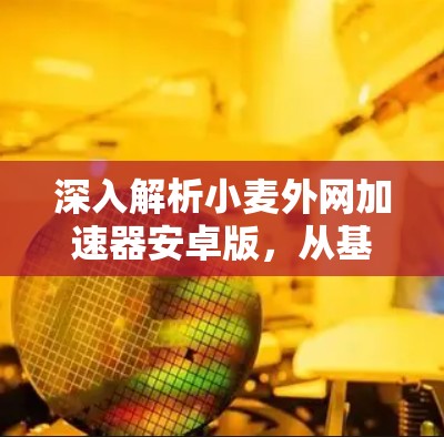 深入解析小麦外网加速器安卓版,从基础到优化 深入解析小麦外网加速器安卓版,从基础到优化