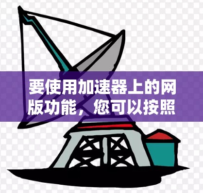 要使用加速器上的网版功能，您可以按照以下步骤进行操作