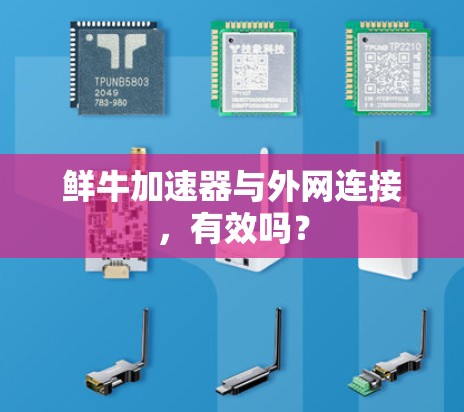 鲜牛加速器与外网连接,有效吗? 鲜牛加速器与外网连接,有效吗?