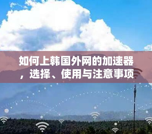 如何上韩国外网的加速器,选择、使用与注意事项 如何上韩国外网的加速器,选择、使用与注意事项