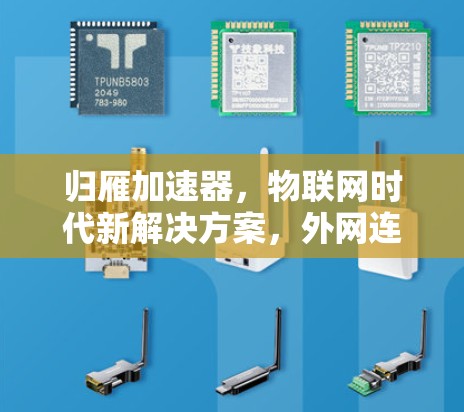 归雁加速器,物联网时代新解决方案,外网连接让未来更高效 归雁加速器,物联网时代新解决方案,外网连接让未来更高效