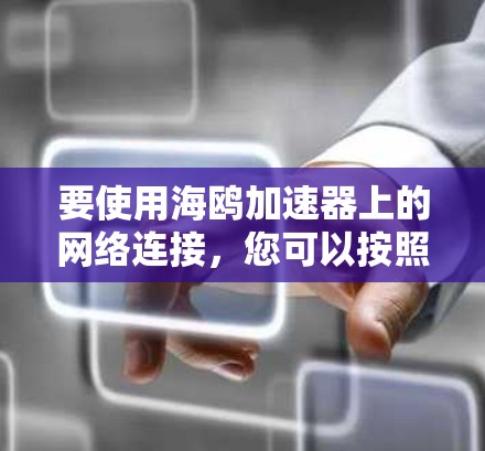 要使用海鸥加速器上的网络连接，您可以按照以下步骤操作
