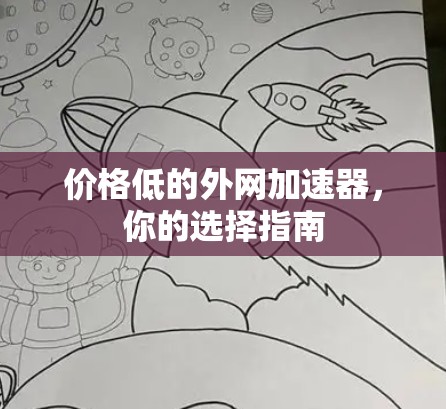 价格低的外网加速器,你的选择指南 价格低的外网加速器,你的选择指南