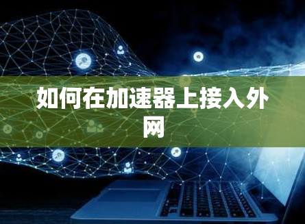 如何在加速器上接入外网 如何在加速器上接入外网