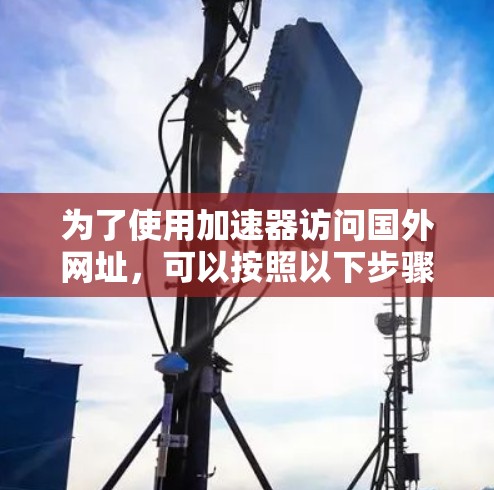 为了使用加速器访问国外网址，可以按照以下步骤进行
