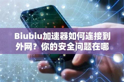 Biubiu加速器如何连接到外网？你的安全问题在哪里？