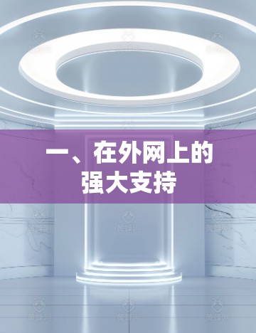 一、在外网上的强大支持