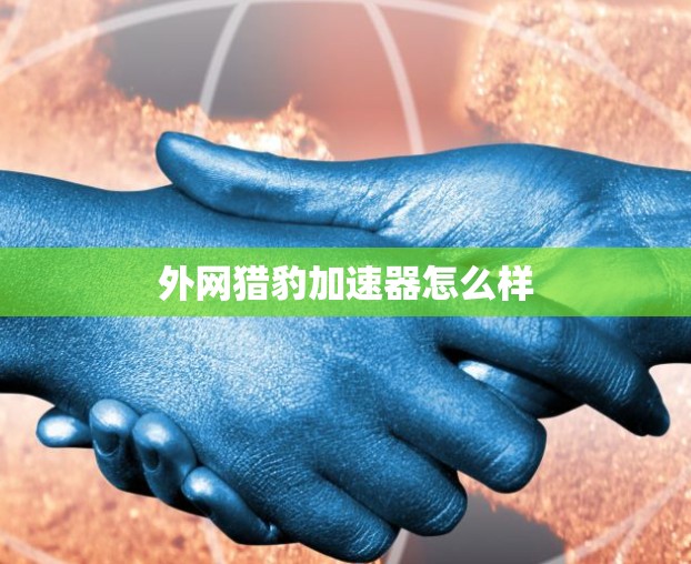 外网猎豹加速器怎么样 外网猎豹加速器怎么样