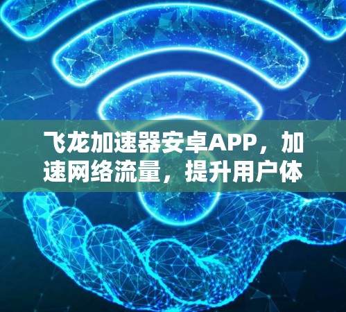 飞龙加速器安卓APP，加速网络流量，提升用户体验