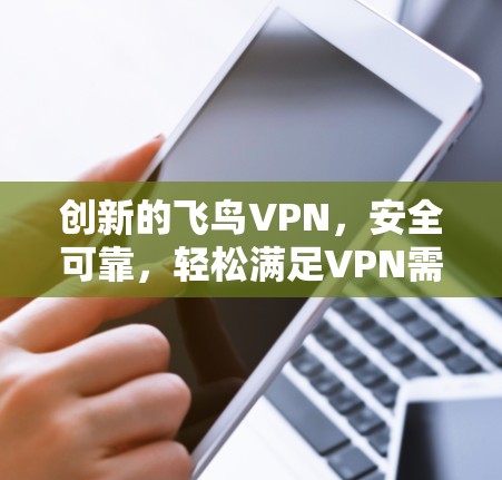 创新的飞鸟VPN,安全可靠,轻松满足VPN需求 创新的飞鸟VPN,安全可靠,轻松满足VPN需求