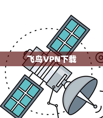 飞鸟VPN下载 飞鸟VPN下载