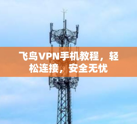 飞鸟VPN手机教程，轻松连接，安全无忧