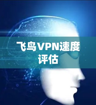 飞鸟VPN速度评估