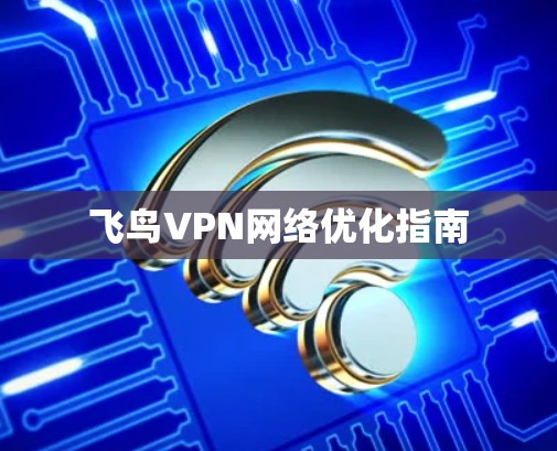 飞鸟VPN网络优化指南