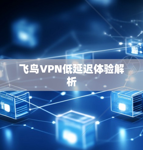 飞鸟VPN低延迟体验解析 飞鸟VPN低延迟体验解析