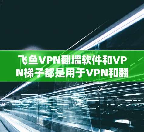 飞鱼VPN翻墙软件和VPN梯子都是用于VPN和翻墙的工具，但它们的功能、适用场景和使用体验有所不同。以下是对它们的评测和对比