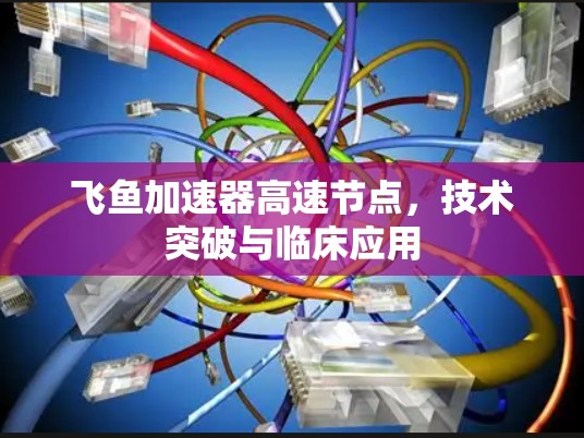 飞鱼加速器高速节点,技术突破与临床应用 飞鱼加速器高速节点,技术突破与临床应用