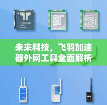 未来科技,飞羽加速器外网工具全面解析 未来科技,飞羽加速器外网工具全面解析