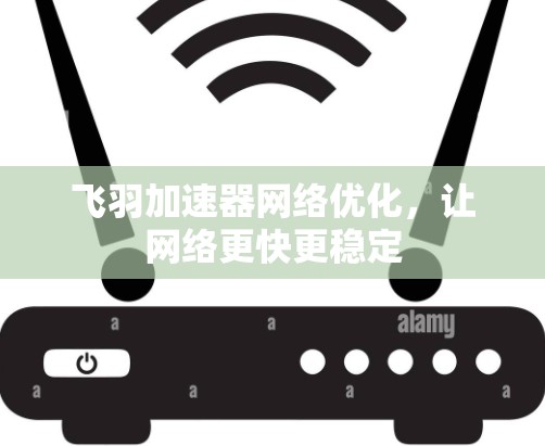 飞羽加速器网络优化,让网络更快更稳定 飞羽加速器网络优化,让网络更快更稳定