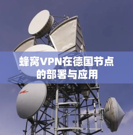 蜂窝VPN在德国节点的部署与应用