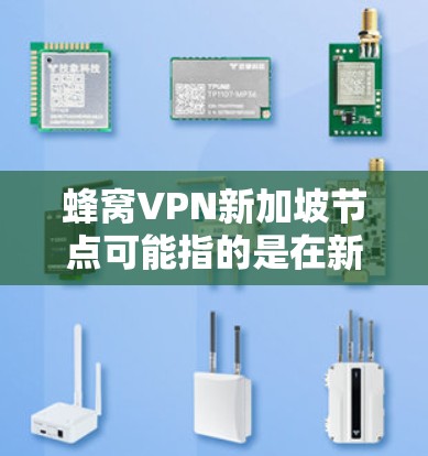 蜂窝VPN新加坡节点可能指的是在新加坡运营的某个VPN服务提供商。以下是一些新加坡运营的VPN服务