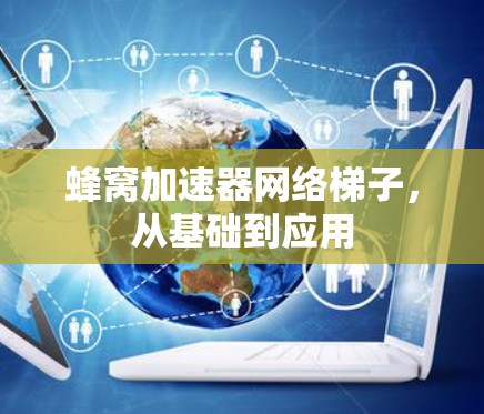 蜂窝加速器网络梯子，从基础到应用