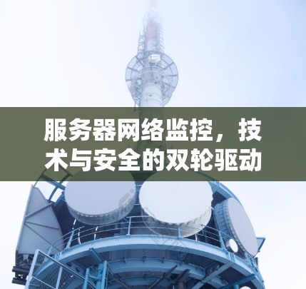 服务器网络监控,技术与安全的双轮驱动 服务器网络监控,技术与安全的双轮驱动