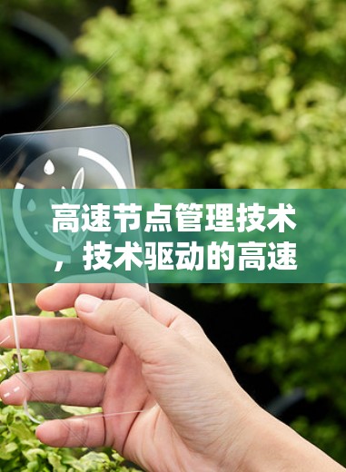 高速节点管理技术，技术驱动的高速网络管理解决方案