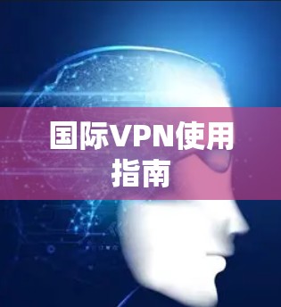 国际VPN使用指南 国际VPN使用指南