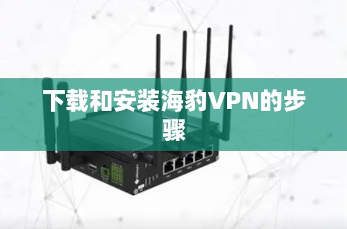 下载和安装海豹VPN的步骤