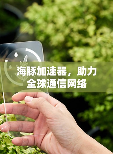 海豚加速器,助力全球通信网络 海豚加速器,助力全球通信网络