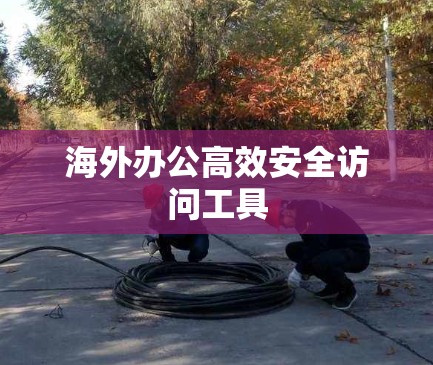 海外办公高效安全访问工具
