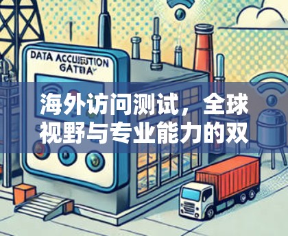 海外访问测试，全球视野与专业能力的双重检验