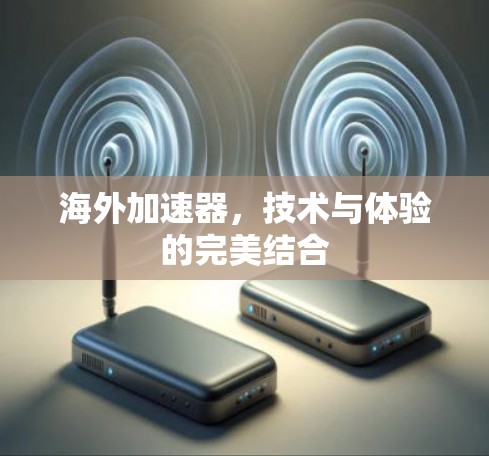 海外加速器,技术与体验的完美结合 海外加速器,技术与体验的完美结合