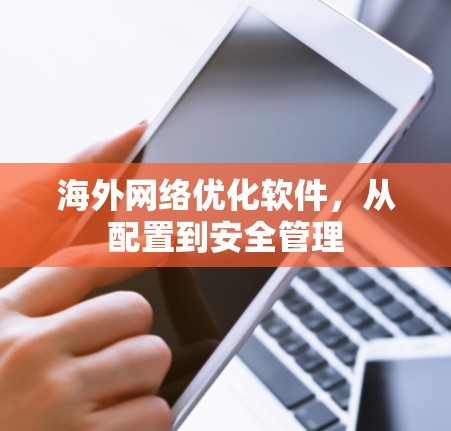 海外网络优化软件，从配置到安全管理