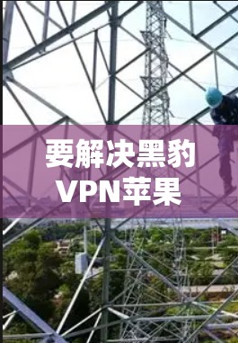 要解决黑豹VPN苹果客户端的连接问题,您可以按照以下步骤操作 要解决黑豹VPN苹果客户端的连接问题,您可以按照以下步骤操作