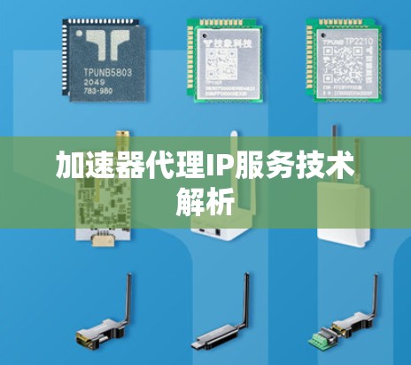 加速器代理IP服务技术解析