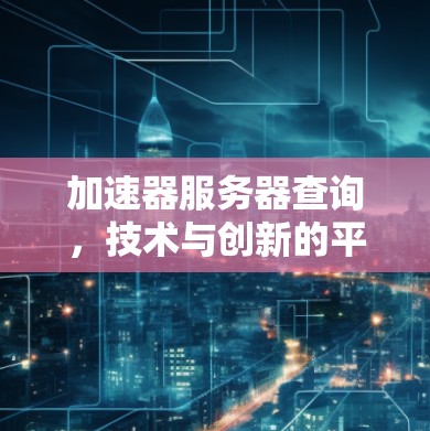 加速器服务器查询，技术与创新的平衡点