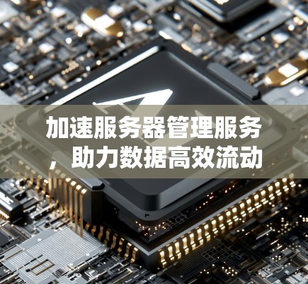 加速服务器管理服务，助力数据高效流动