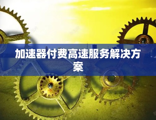加速器付费高速服务解决方案 加速器付费高速服务解决方案