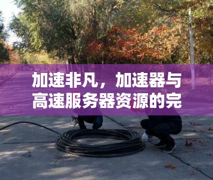 加速非凡,加速器与高速服务器资源的完美融合