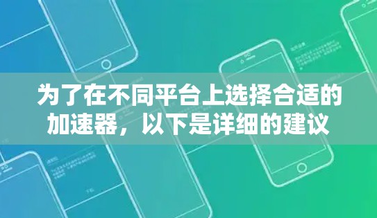 为了在不同平台上选择合适的加速器,以下是详细的建议 为了在不同平台上选择合适的加速器,以下是详细的建议