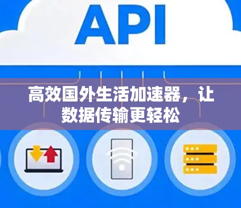 高效国外生活加速器，让数据传输更轻松