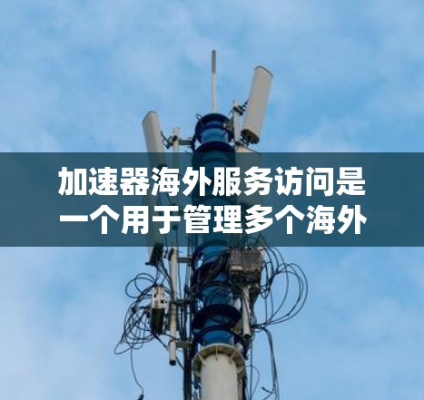 加速器海外服务访问是一个用于管理多个海外加速器的工具，旨在帮助用户高效访问和管理这些加速器，同时处理流量分配、监控等问题。以下是其详细信息和使用步骤