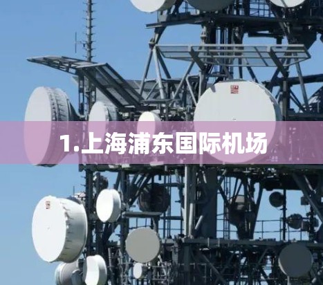 1.上海浦东国际机场